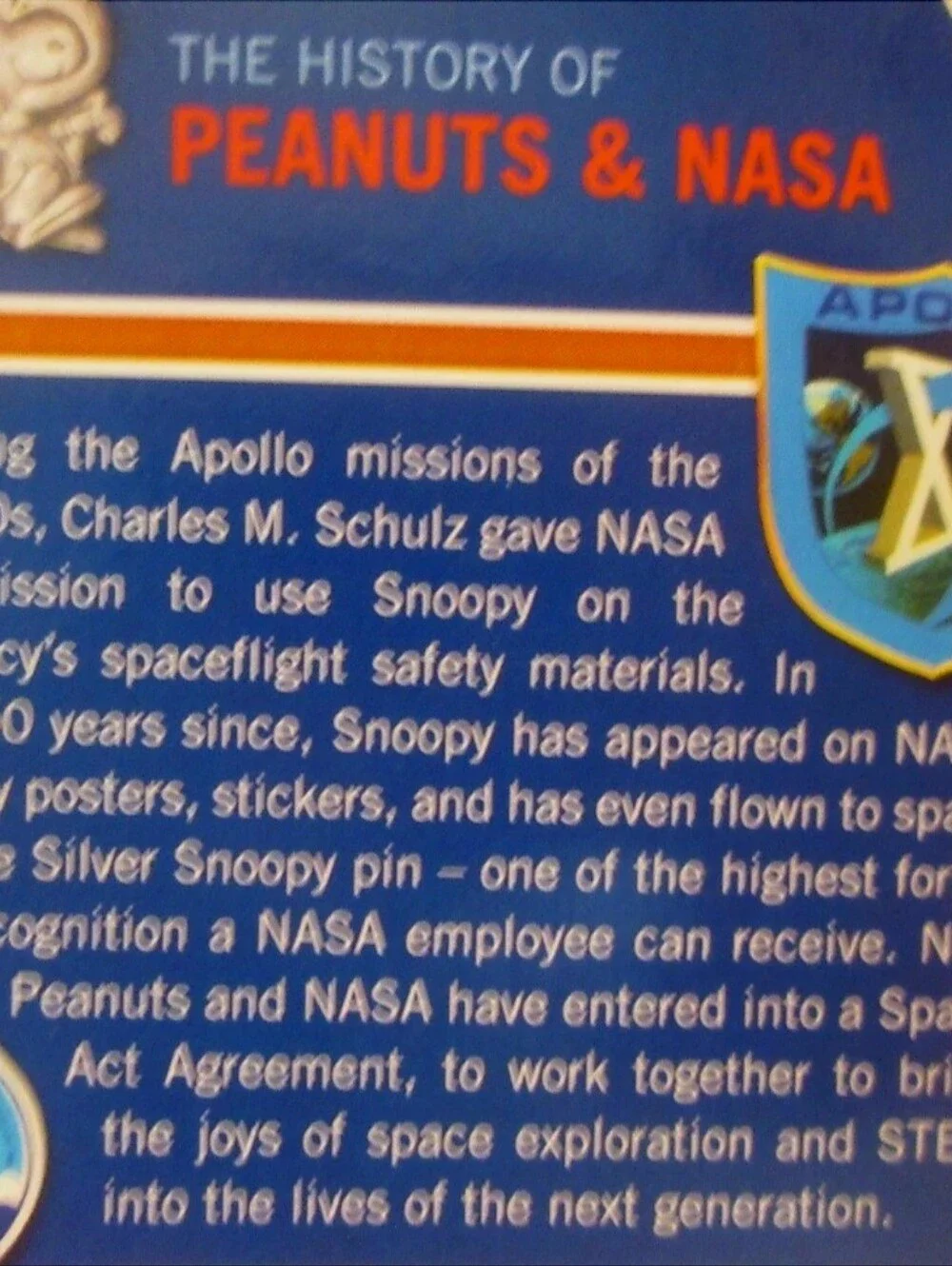 Peanuts Animated Astronaut Snoopy 10